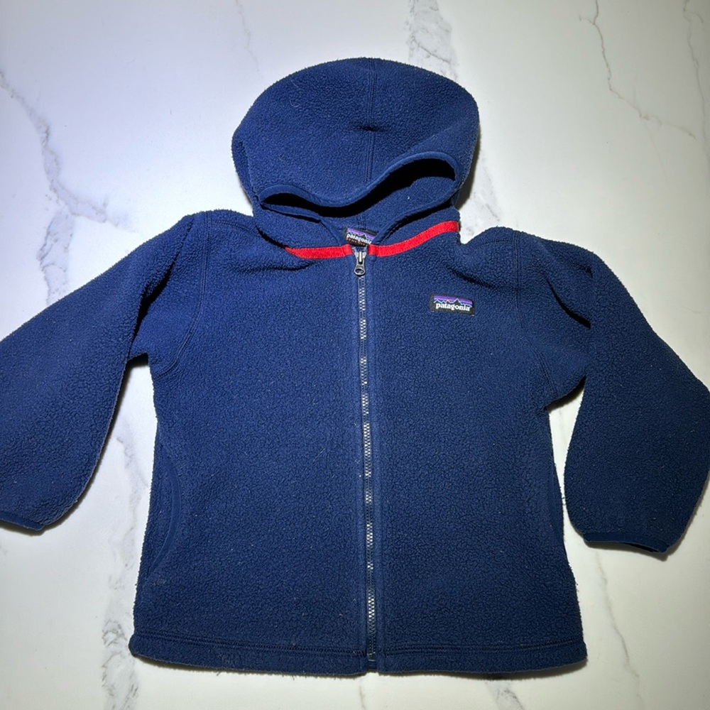 Patagonia Synchilla hooded fleece